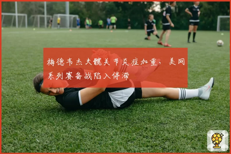 梅德韦杰夫髋关节炎症加重，美网系列赛备战陷入停滞