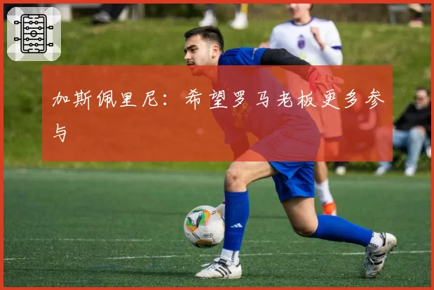加斯佩里尼:希望罗马老板更多参与