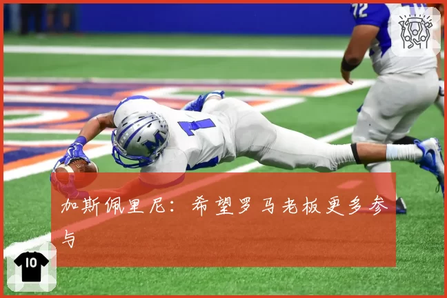加斯佩里尼:希望罗马老板更多参与
